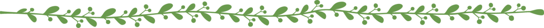 55.png